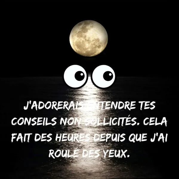 J’adorerais entendre tes conseils non sollicités. Cela fait des heures depuis que j’ai roulé des yeux.