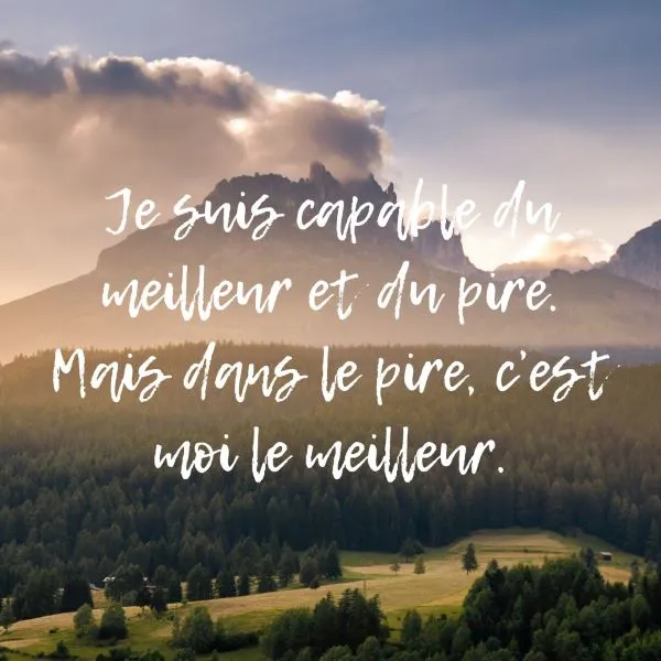 Une citation sarcastique sur le meilleur et le pire