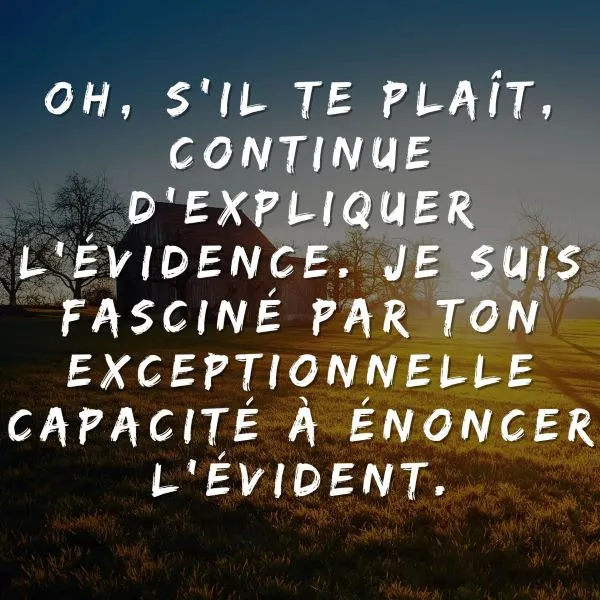 Oh, s’il te plaît, continue d’expliquer l’évidence. Je suis fasciné par ton exceptionnelle capacité à énoncer l’évident.