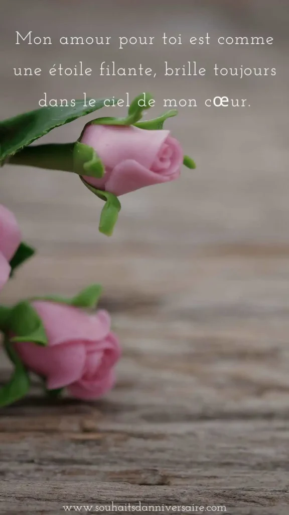 Mon amour pour toi est comme une étoile filante, brille toujours dans le ciel de mon cœur.